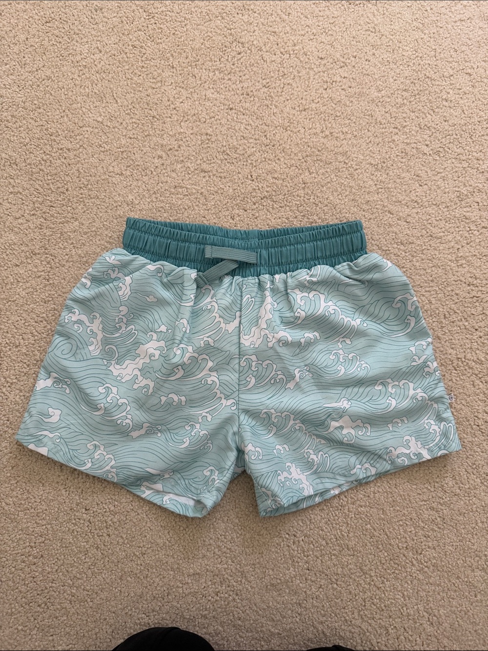 Caden Lane Seafoam Wave Kids Swim Trunks